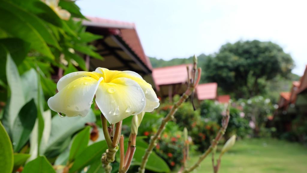 Pooltrap Village Bungalow Ko Pha Ngan Exterior photo